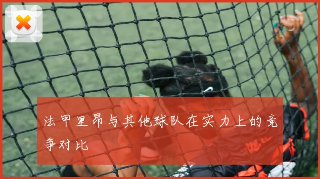 法甲里昂与其他球队在实力上的竞争对比